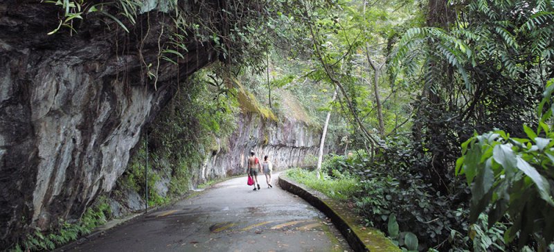 پارک ملی تیجوکا