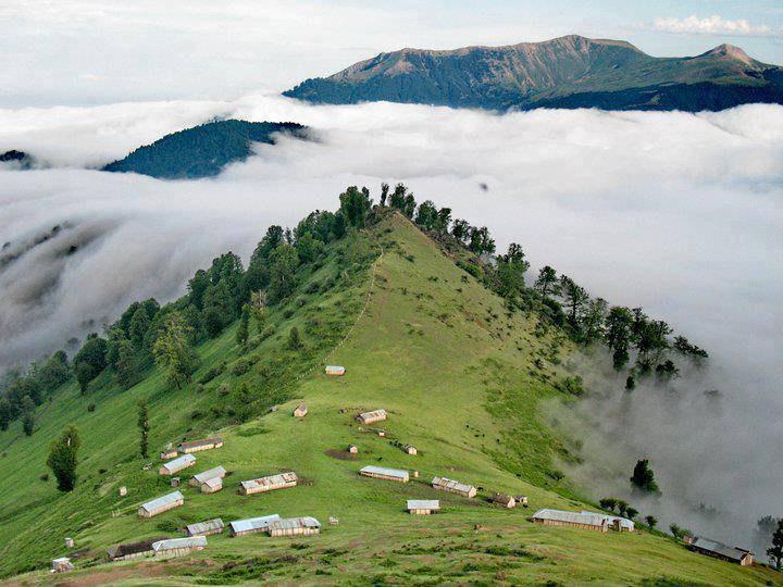 ماسال - گیسوم